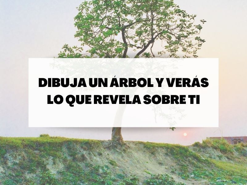 portada-dibujo-arbol